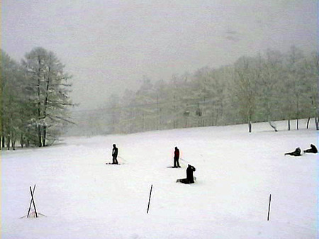 300cm超！氷点下のフレッシュSNOW