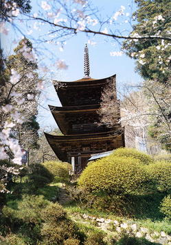 【信州の国宝めぐり】大法寺三重塔