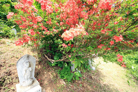 IMG_6207.jpg