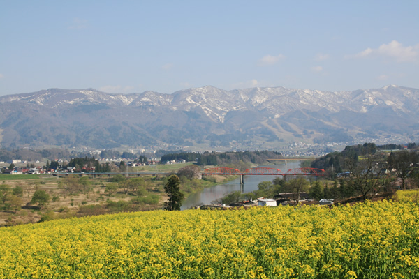 http://www.nozawa.tv/blog/images/IMG_6938.jpg