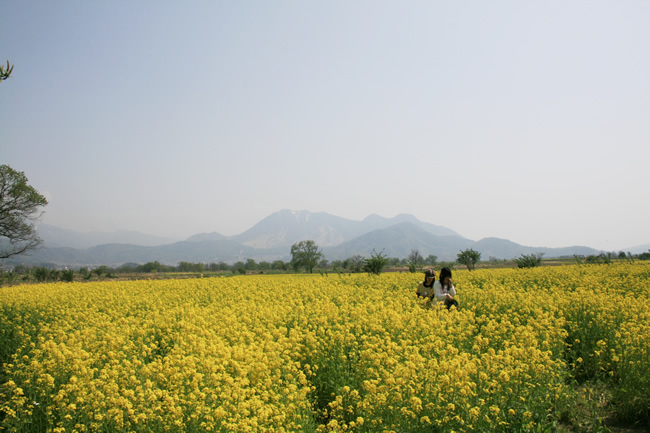 http://www.nozawa.tv/blog/images/IMG_6974.jpg