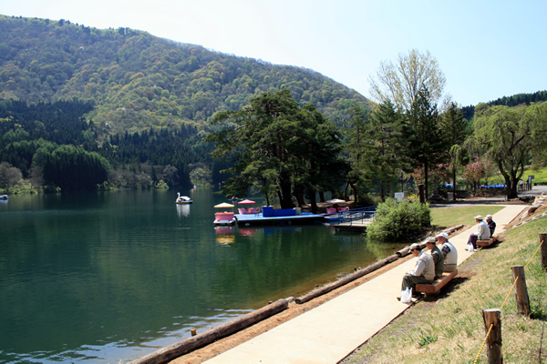 http://www.nozawa.tv/blog/images/IMG_7031.jpg