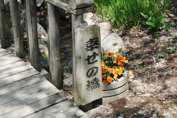 http://www.nozawa.tv/blog/images/IMG_7157.jpg