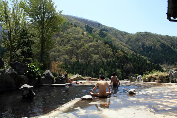 http://www.nozawa.tv/blog/images/IMG_7163.jpg
