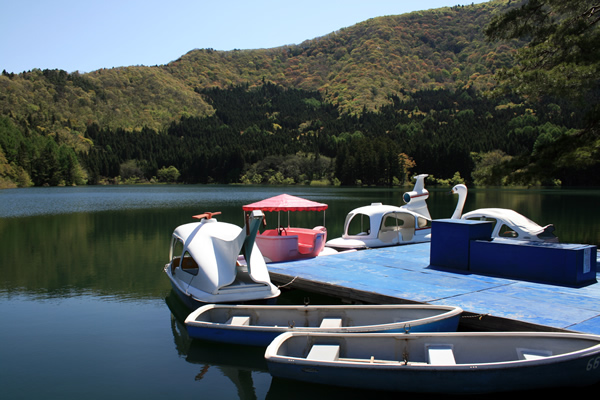 http://www.nozawa.tv/blog/images/IMG_7268.jpg