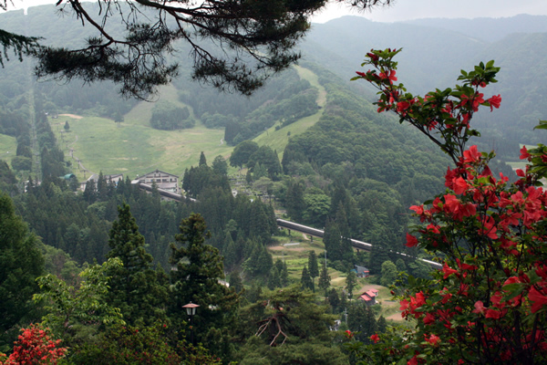 http://www.nozawa.tv/blog/images/IMG_7639.jpg