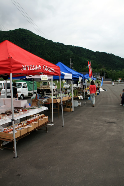 http://www.nozawa.tv/blog/images/IMG_7725.jpg